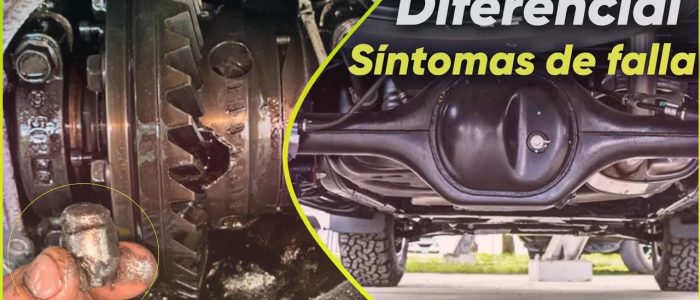 Identificación de un Diferencial Defectuoso